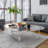 Single Coffee Table