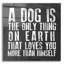 «Dog Love» par Erin Clark, art mural en verre acrylique-440951832