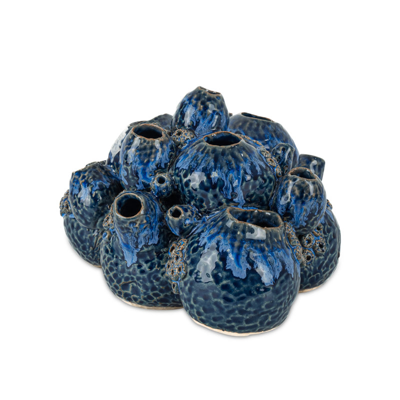 Sulawasi Blue Shells