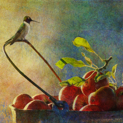 Pommes et colibri