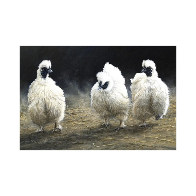 Dust Devils - Silkies by Jeremy Paul - Wrapped Canvas Gallery-Wrapped Canvas Giclée, 20.32cm H x 30.48cm W