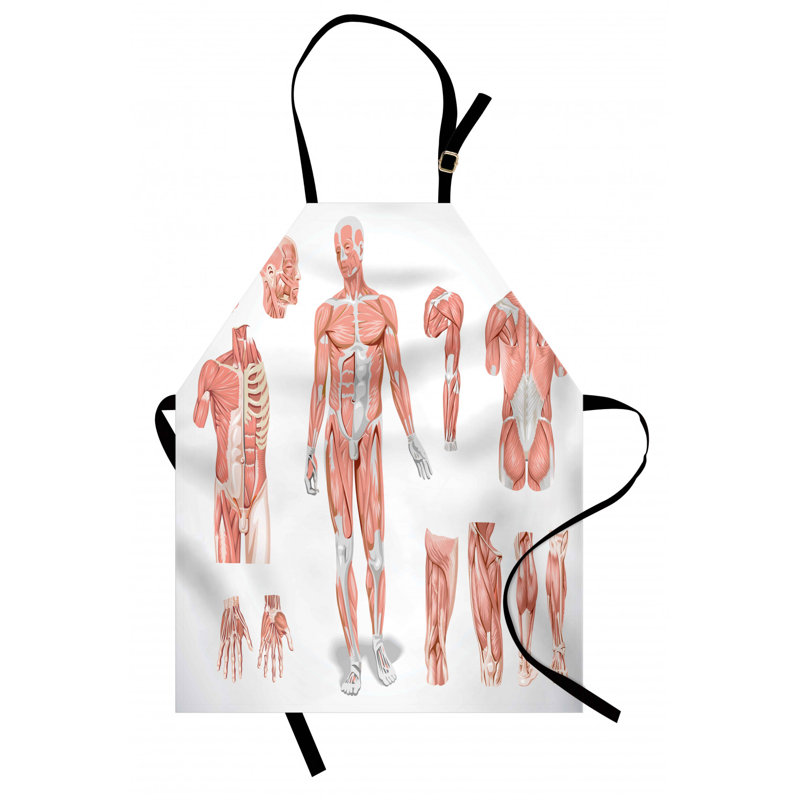 Bib Apron