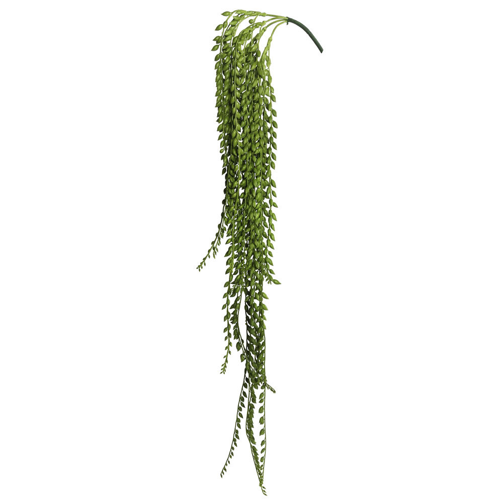 39" Senecio Succulent