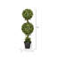 Topiaire 3 'en buis vert