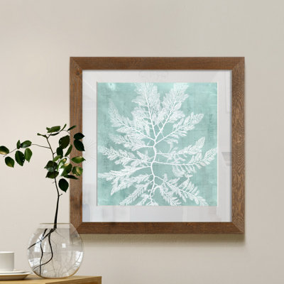 Algue sur Aqua I-impression encadrée