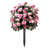 Rose est en rupture de stock