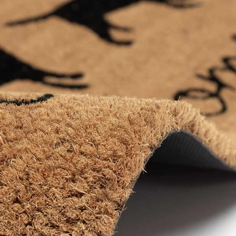 Tapis d'entrée antidérapant Fluellen 30 po x 18 po