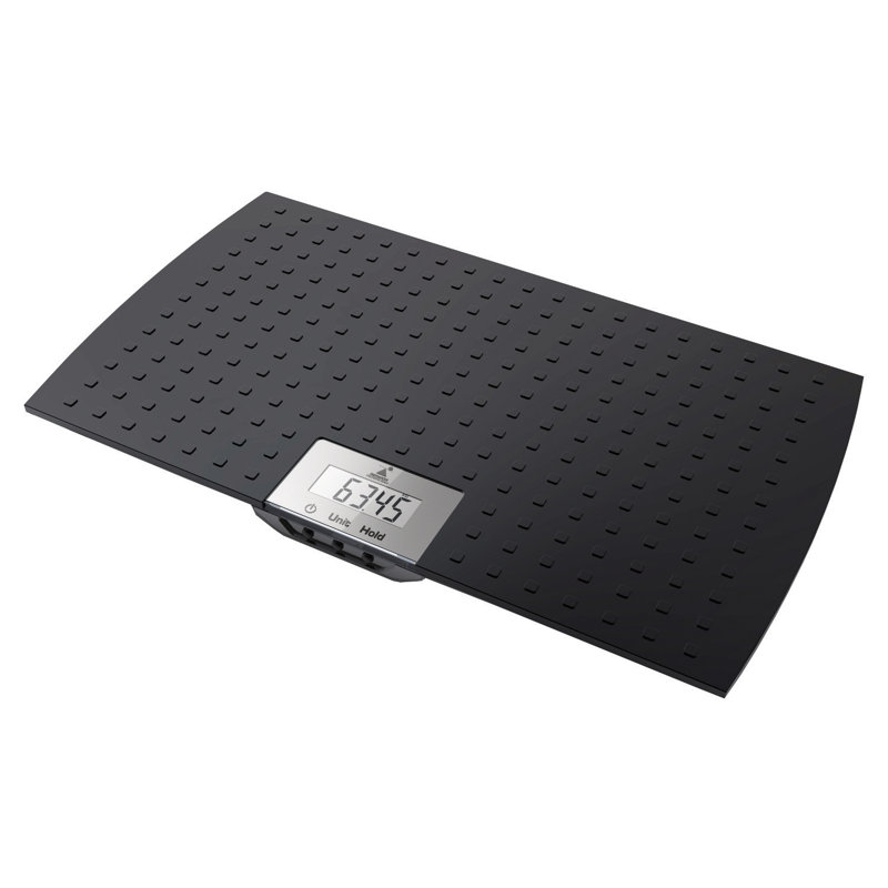 Redmon Digital Physician Scale