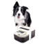 Lifestyle 4 animaux de compagnie-Distributeur d'eau FreshSip