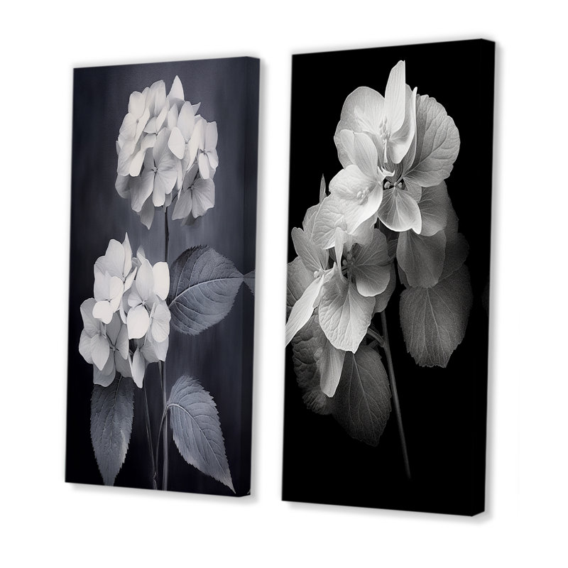 «Black White Hydrangea Blooming», 2 pièces sur toile, Toile tendue, H 40 po x l 40 po
