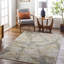 Lena Oriental Area Rug-1377142169