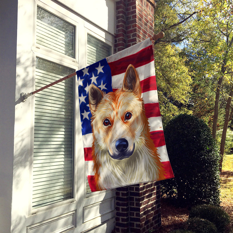 Polyester à 2 côtés 28 x 40 po drapeau maison, Jindo coréen