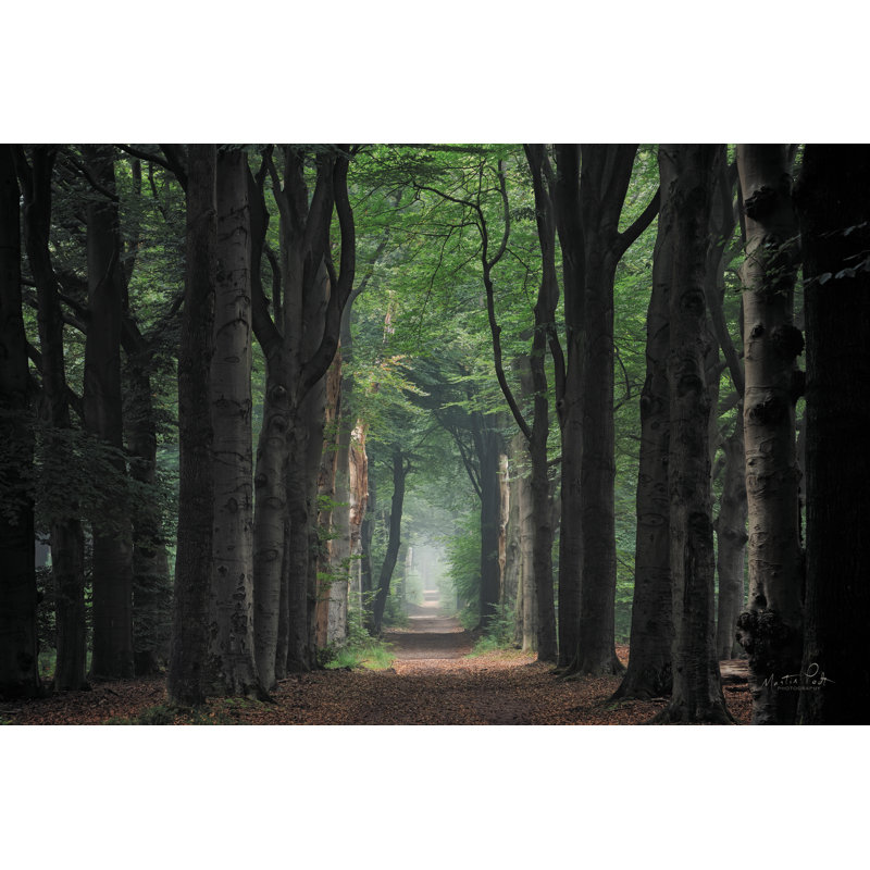 «A Hazy Summer Morning» sur toile, H 12 po x l 18 po