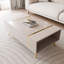 ONYX Coffee Table With Storage