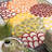 Shameekia Machine Woven Indoor and Outdoor Area Rug-1375429661-1365469882