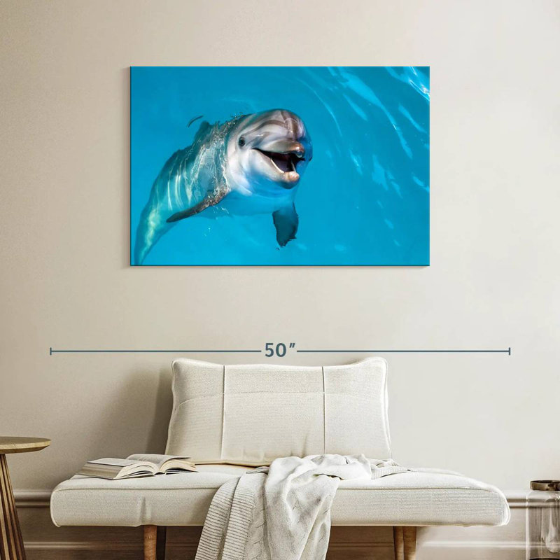 Brampt Dolphin's Smile, 26" H x 39" W