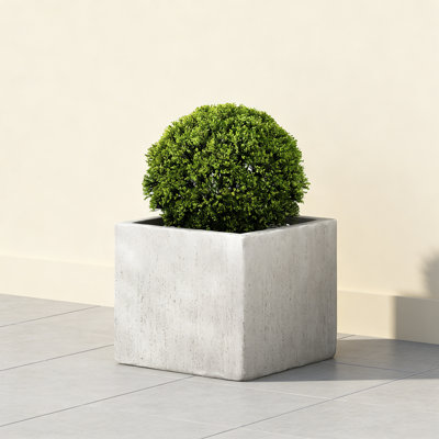 Shiner Lightweight Concrete Planter Box Set