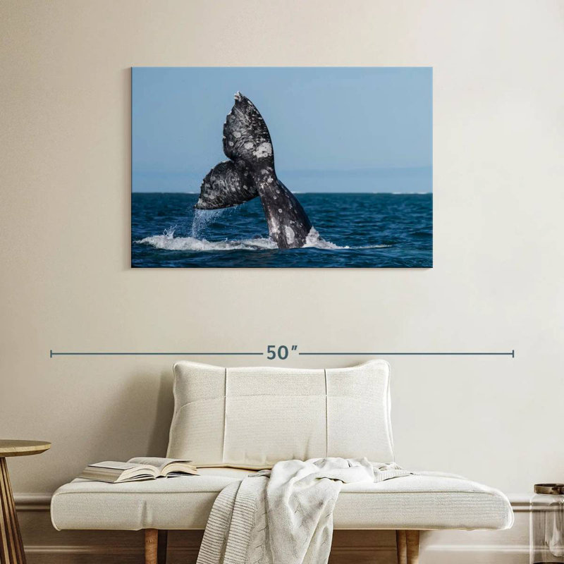 Brampt Gray Whale Tail, 26" H x 39" W