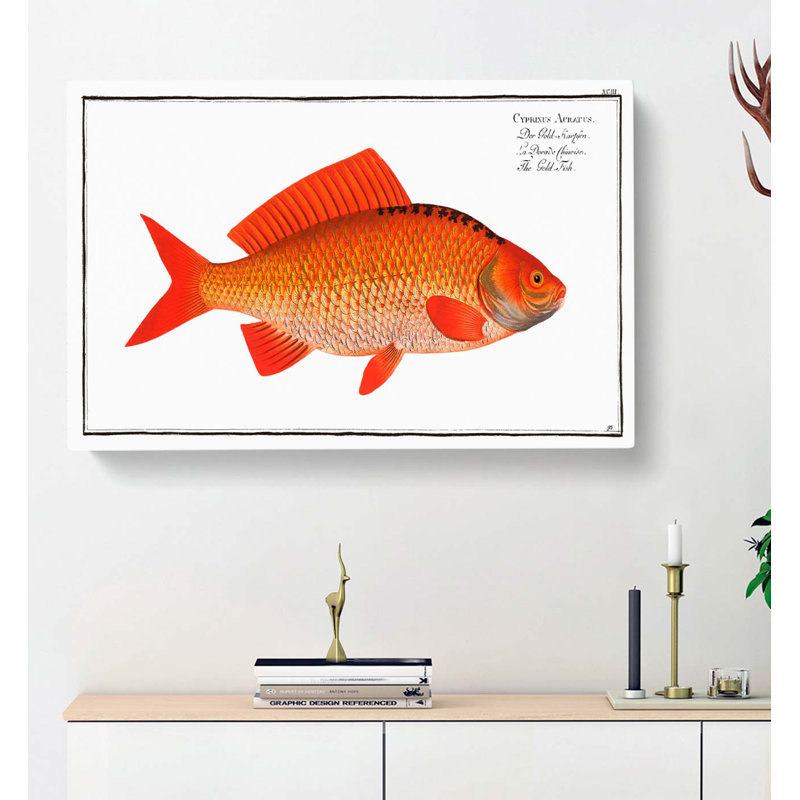 Goldfish by M.E. Bloch - Wrapped Canvas, 35cm H x 50cm W x 3cm D