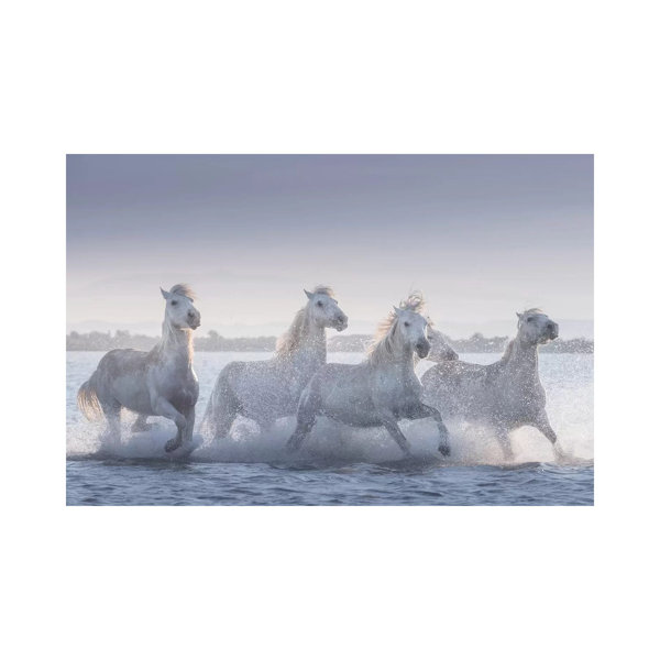 Brambly Cottage White Angels Of Camargue XIV by Daniel Kordan - Wrapped ...
