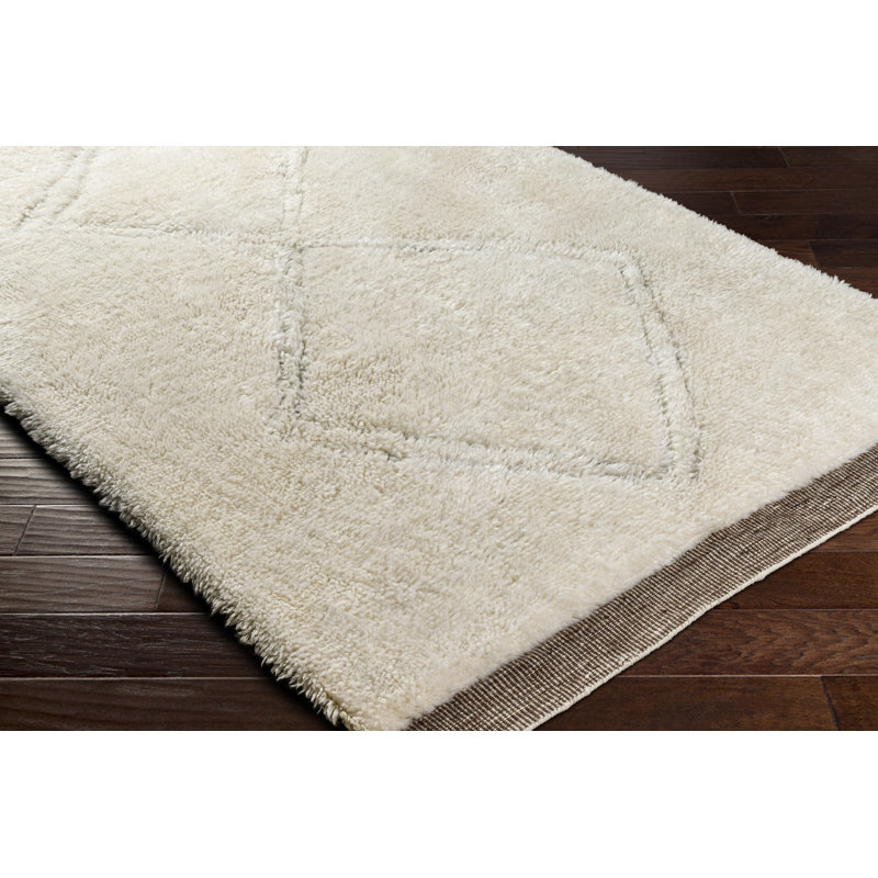 Saesha Hand Knotted Wool Indoor Rug, Rectangle 2' x 3'