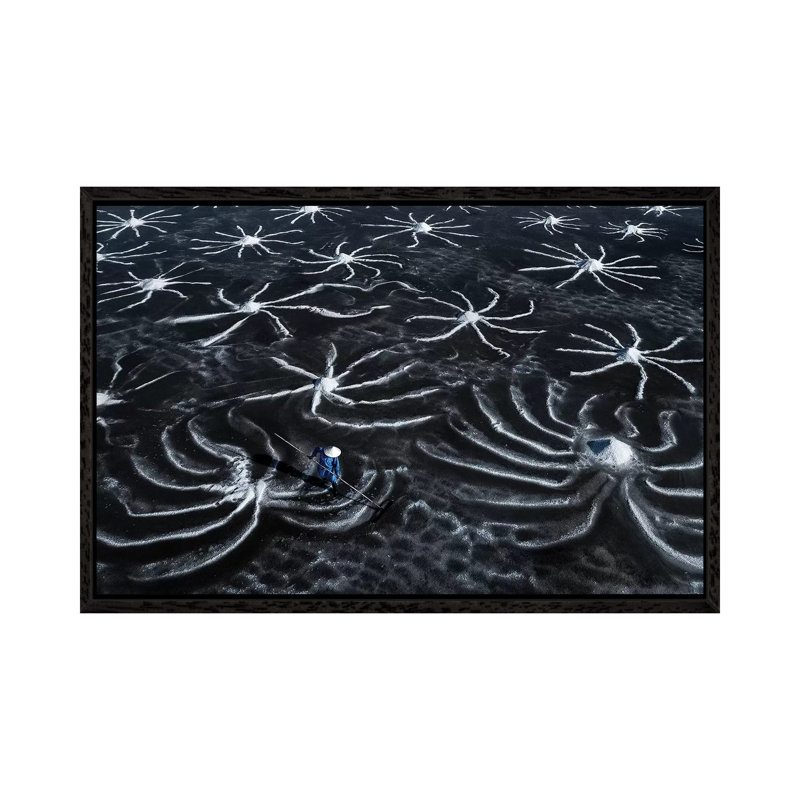 Salt Field by Trung Pham - Gallery-Wrapped Canvas Giclée on Canvas, 66.04 cm H x 45.72 cm W, Black Framed