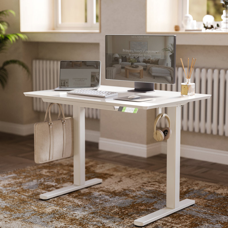 48-inch Electric Standing Desk with a Multi-Functional drawer, Wide Height Adjustment with 4 Memory Preset - White, White