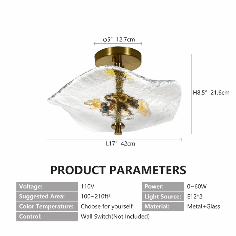16.5" Glass Semi Flush Mount Ceiling Light Fixture, 2-Lights Close To Ceiling Light, Modern Gold Ceiling Light Fixture For Bedroom Bathroom Hallway Entryway Kitchen Dining Room