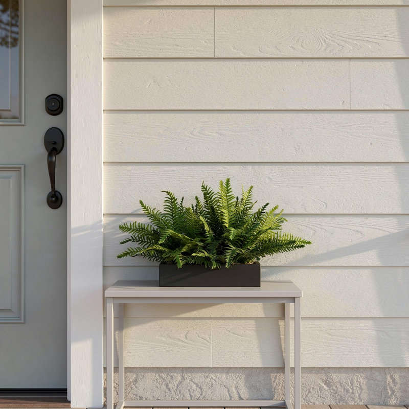 Outdoor UV Rated Ferns Arranged in Fiberstone Planter, Black, 16" H x 27" W