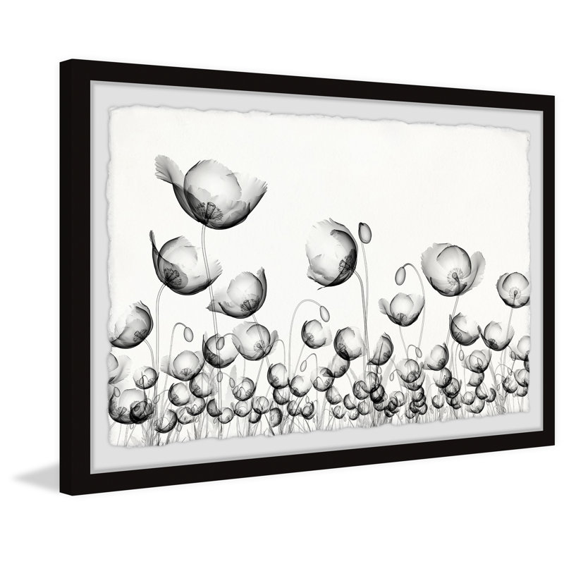 Poppy Fields - Single Picture Frame Painting, 38cm H x 45cm W x 3.81cm D