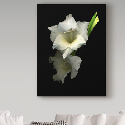 Dosta 'Gladiola 4' by Graphic Art Print on Wrapped Canvas