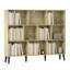 156 cm H x 74 cm W Bookcase