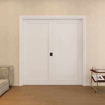 Porte à panneau double 72 po x 80 po à serrure double avec serrure noire, plaque de porte à âme solide, pouvant être peinte et imperméable, combinaison pour garde-robe, portes de garde-manger, portes de chambre à coucher