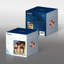 Christmas Decorative Accent-532657008