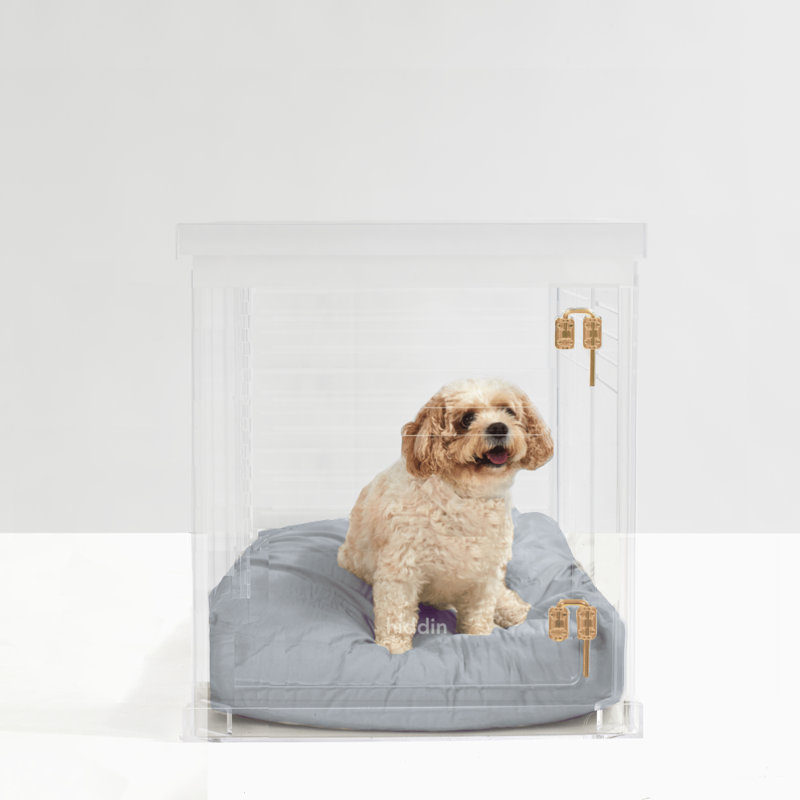 Medium Clear View Pet Crate with Silver Latch, Khaki Cushion, Charcoal, Gold, 22"H x 20"W x 30"D