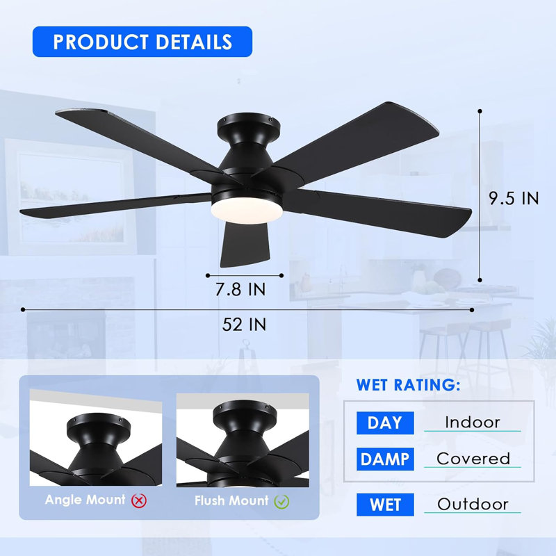 Ventilateur, Noir