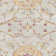 Oriental Hand Woven Area Rug