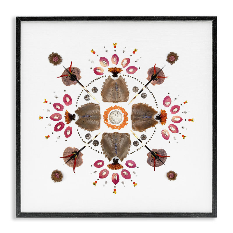 Giclée encadrée de la collection nautique symétrique, design par Beth Adoette, Giclée noire de minuit encadrée