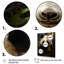 Pandas Play 3 - Panda Animal, art mural-1406766265-1406766246