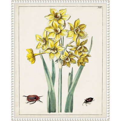 «Dutch Florals III», reproduction d'art sur toile encadrée