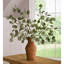 Eucalyptus Branches Battery Lighted Trees & Branches