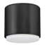 Hinkley Cedric Flush Mount Flat-1354030738