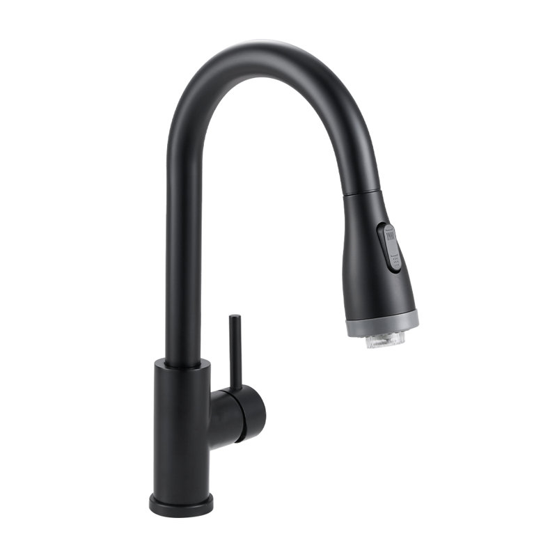 Belfry Kitchen Pull Out Kitchen Faucet, Black