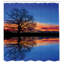 Ensemble de rideau de douche magique nature twilight-20637400