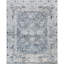 Oriental Area Rug in Blue/Gray/Ivory-1242823344