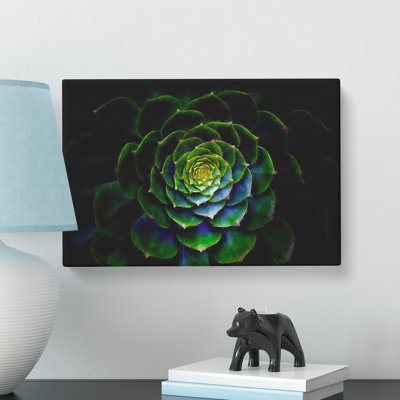 Dark Green Succulent Plant Painting - Wrapped Canvas