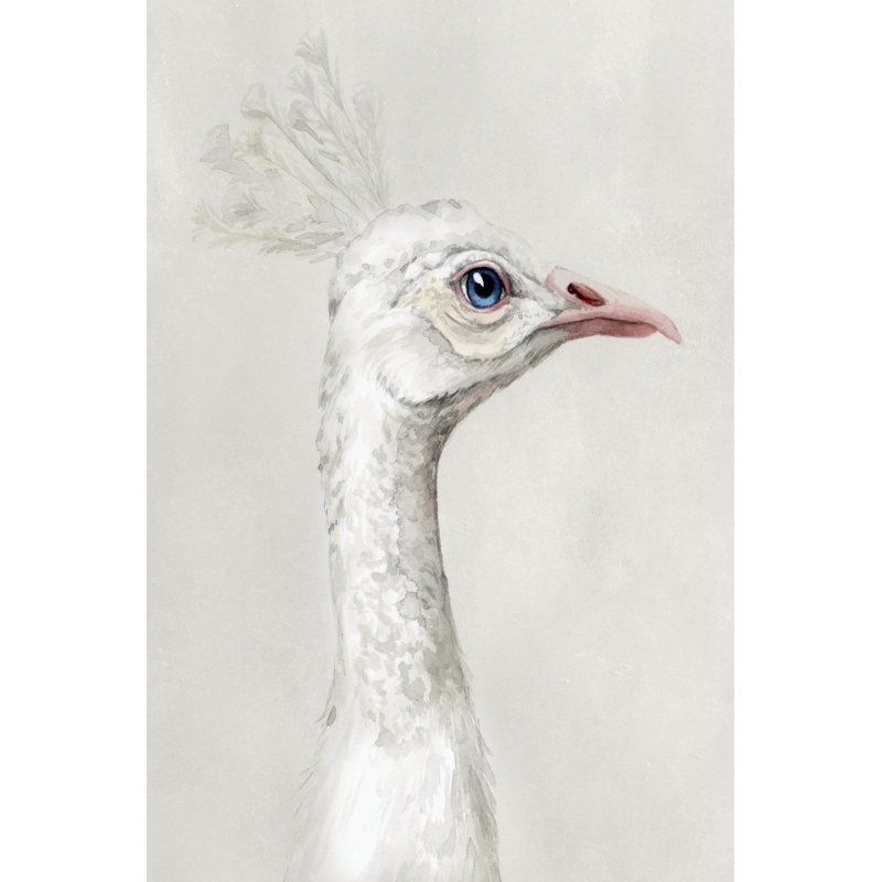 Alpine Peacock I by Grace Popp - Wrapped Canvas Print, 45.72cm H x 30.48cm W