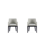 Gansevoort Arm Chair