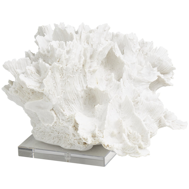 Sculpture décorative en corail blanc texturé avec base en acrylique transparent