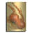 " Spanish Onions " by Barbara Keith-403000895